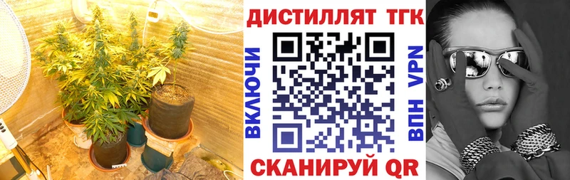 мориарти как зайти Кунгур ТГК жижа