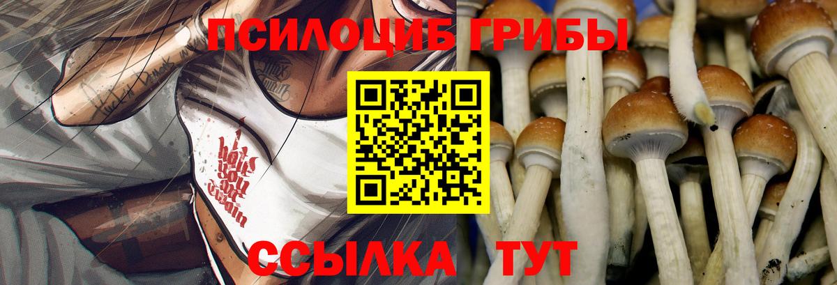 Псилоцибиновые грибы Cubensis  Вход с VPN  Кунгур  Псилоцибиновые грибы Psilocybe 