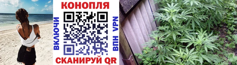 Бошки марихуана MAZAR  мега ссылка  Кунгур 